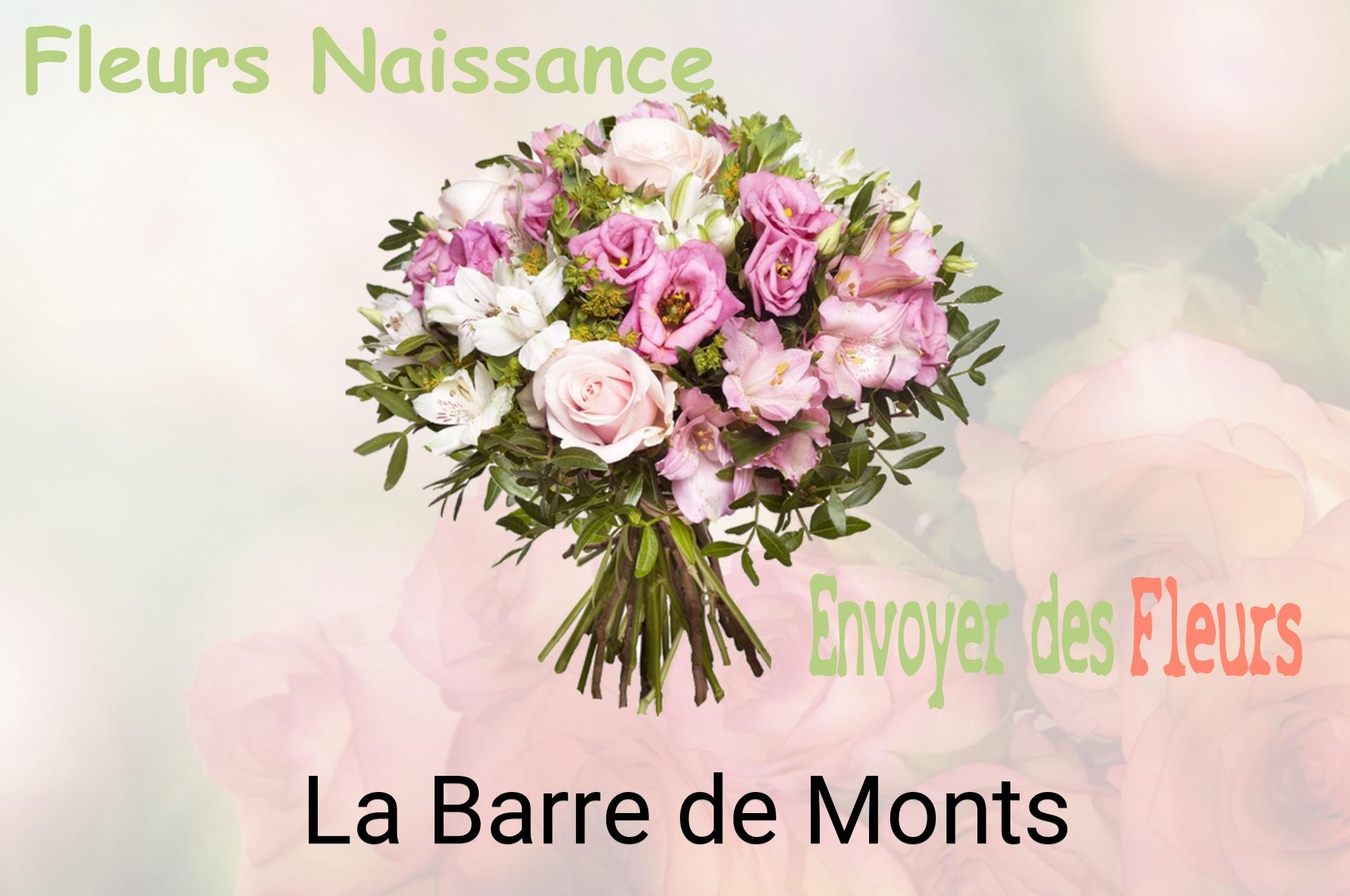 Bouquet de fleurs de naissance livré à La Barre-de-Monts
